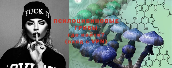 молекула духа Абдулино