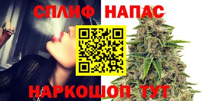 метадон Тверь