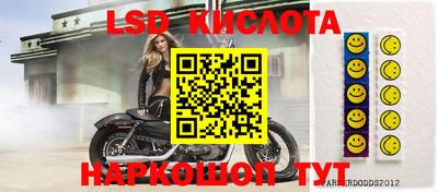 ПСИЛОЦИБИНОВЫЕ ГРИБЫ Тара